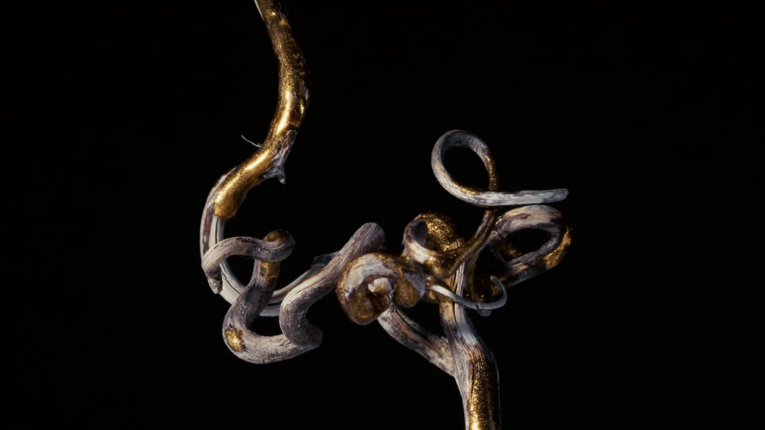 Bodega Cicchitti | Institucional